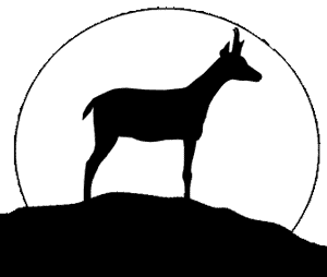 Gif animé gazelle noir
